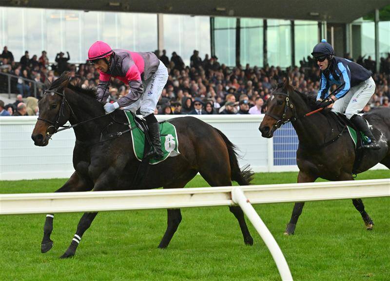 عکس / مسابقات اسب دوانی در استرالیا 18