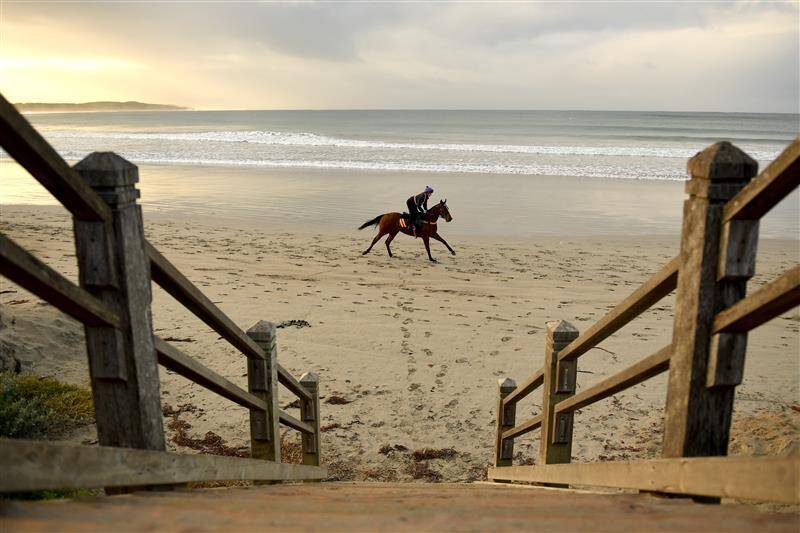 عکس / مسابقات اسب دوانی در استرالیا 17