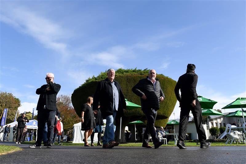 عکس / مسابقات اسب دوانی در استرالیا 21