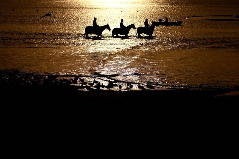 عکس / مسابقات اسب دوانی در استرالیا 27