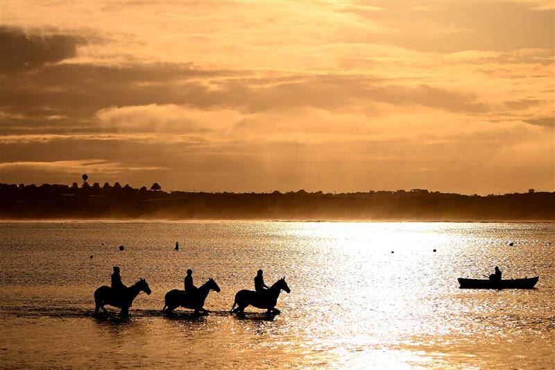 عکس / مسابقات اسب دوانی در استرالیا 26