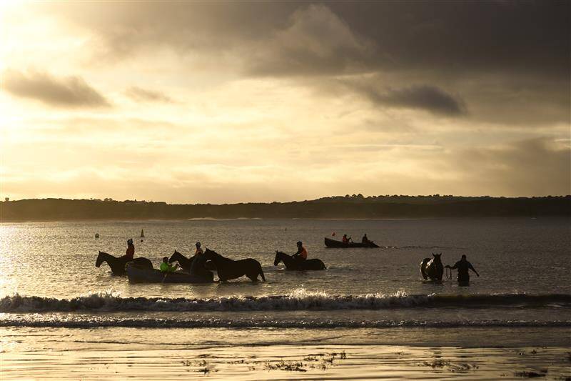 عکس / مسابقات اسب دوانی در استرالیا 25