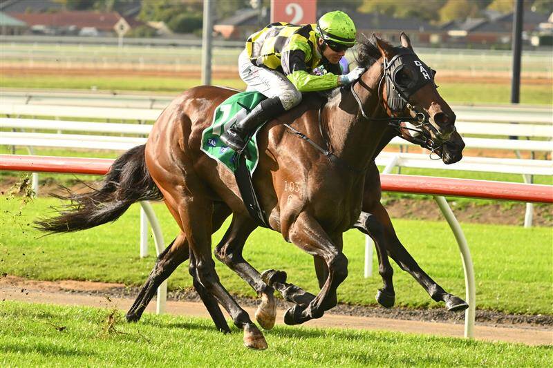 عکس / مسابقات اسب دوانی در استرالیا 10