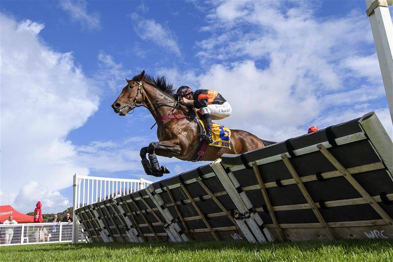 عکس / مسابقات اسب دوانی در استرالیا 9