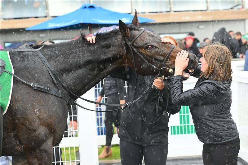 عکس / مسابقات اسب دوانی در استرالیا 3