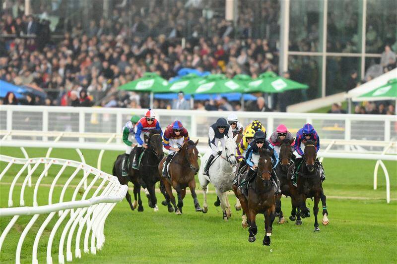 عکس / مسابقات اسب دوانی در استرالیا 8