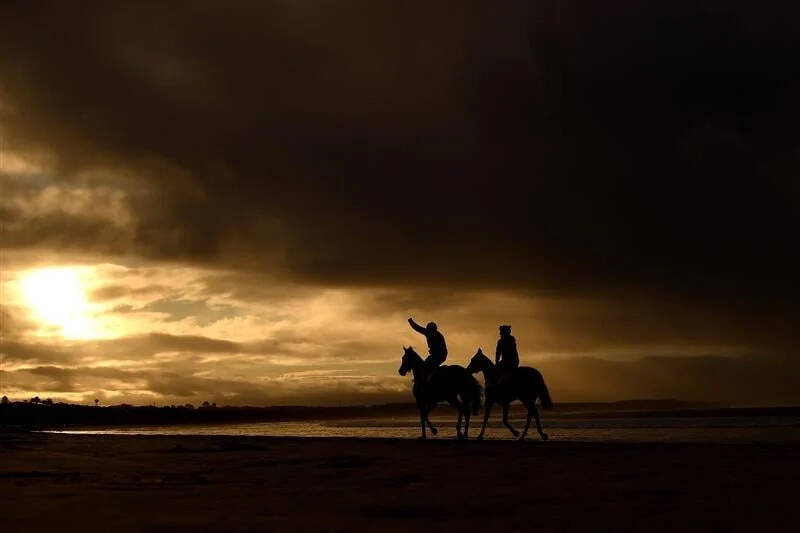 عکس / مسابقات اسب دوانی در استرالیا 24