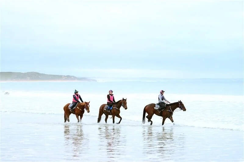 عکس / مسابقات اسب دوانی در استرالیا 28