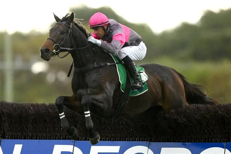 عکس / مسابقات اسب دوانی در استرالیا 7