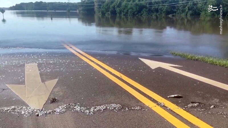 عکس/ طغیان و سیل در ۵ ایالت آمریکا