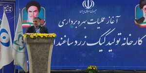 اسلامی: تولید کیک زرد 50 درصد افزایش مییابد