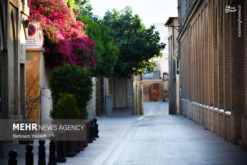 عکس/ کوچهای گرافیکی در شیراز