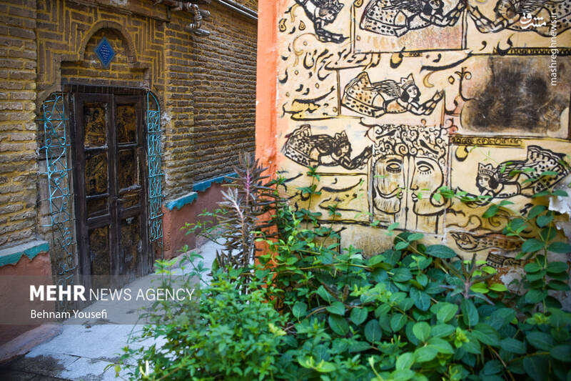 عکس/ کوچهای گرافیکی در شیراز