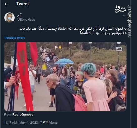 جنبشهای مدنی وقتی از راه به در می شوند!+ فیلم