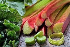 ریواس چه خواصی دارد؟
