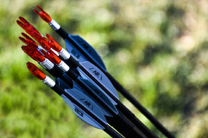 عکس / مسابقات رنکینگ کشوری تیراندازی با کمان