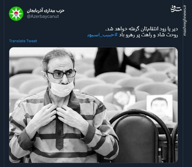 واکنش ضد انقلاب به اعدام اسیود +تصاویر