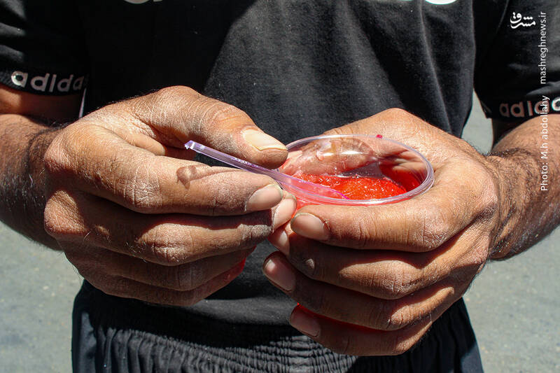 عکس/ چرخی برای چرخاندن چرخ های زندگی