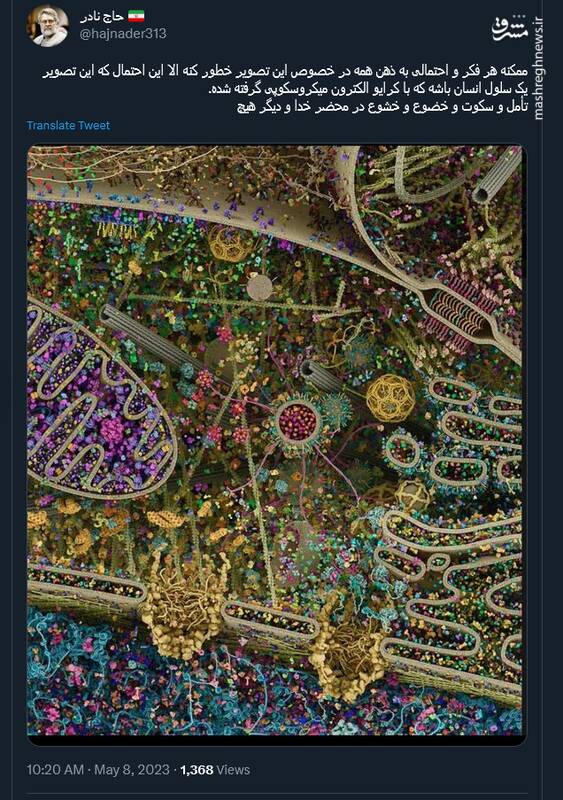 تأمل و سکوت و خضوع و خشوع در محضر خدا تنها با یک تصویر!