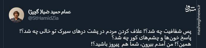 پرستوی براندازان پَر کشید+ عکس و فیلم