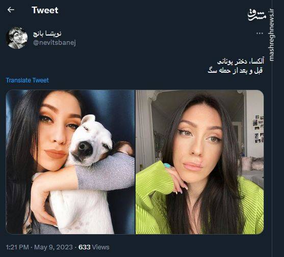 حمله سگ به مردم، ایرانی و یونانی ندارد!