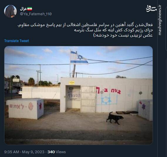 رژیم کودک کشی که باید مثل سگ بترسه!