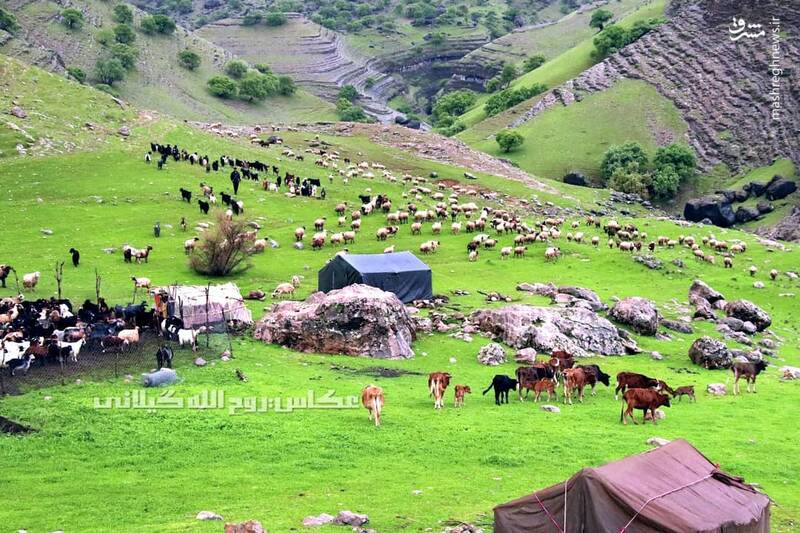 اشتباه نکنید،اینجا سوئیس نیست! +عکس