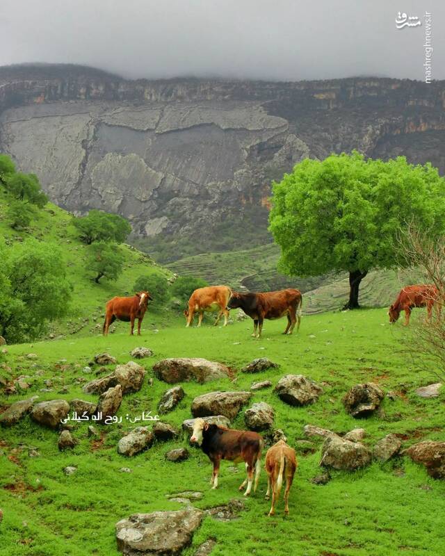 اشتباه نکنید،اینجا سوئیس نیست! +عکس