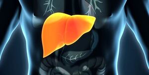 عامل اصلی ابتلا به کبدچرب مبتلایان به کبد چرب بخوانند/ بایدها و نبایدهای تغذیهای کبد چرب