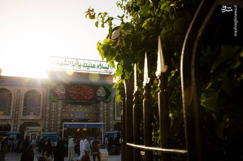 عکس/ کتیبههای شهادت شیخ الائمه در حرم امام حسین(ع)