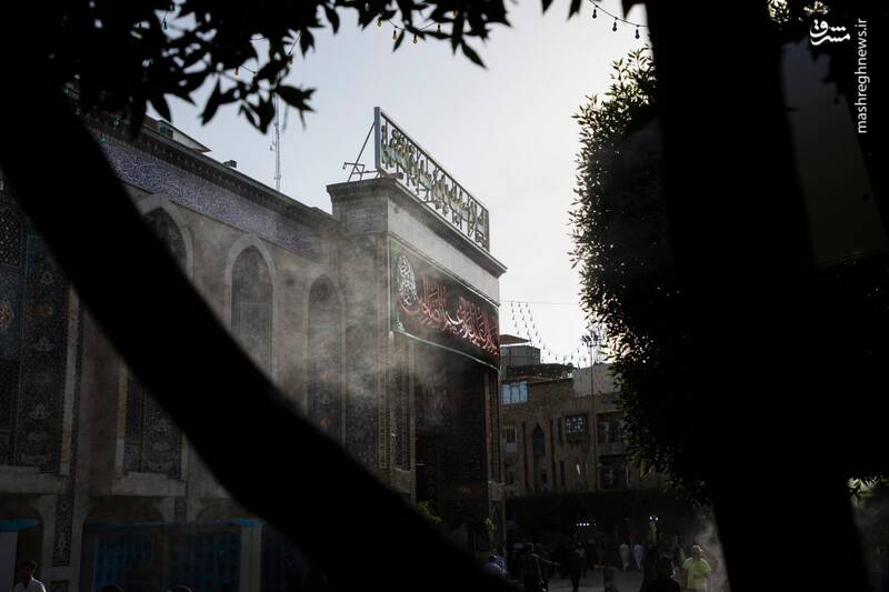 عکس/ کتیبههای شهادت شیخ الائمه در حرم امام حسین(ع)