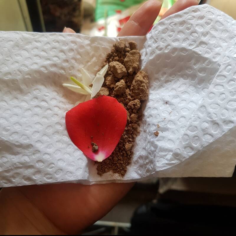 تشییع پیکر شهدای ایران اسلامی/ از بوی پیراهن یوسف تا نالههای سنگی