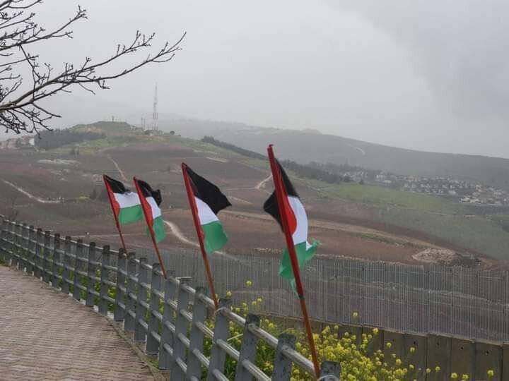 یورش گسترده شهرکنشینان اشغالگر به مسجد الاقصی