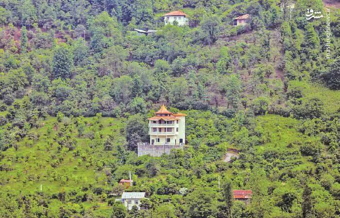 جنگل خواران شمال