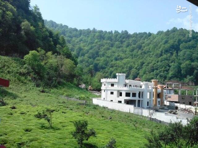 جنگل خواران شمال