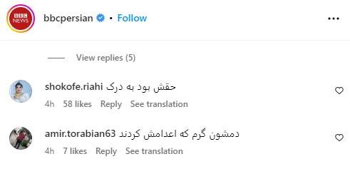 استقبال مخاطبان رسانه های معاند از اعدام الکس+ عکس