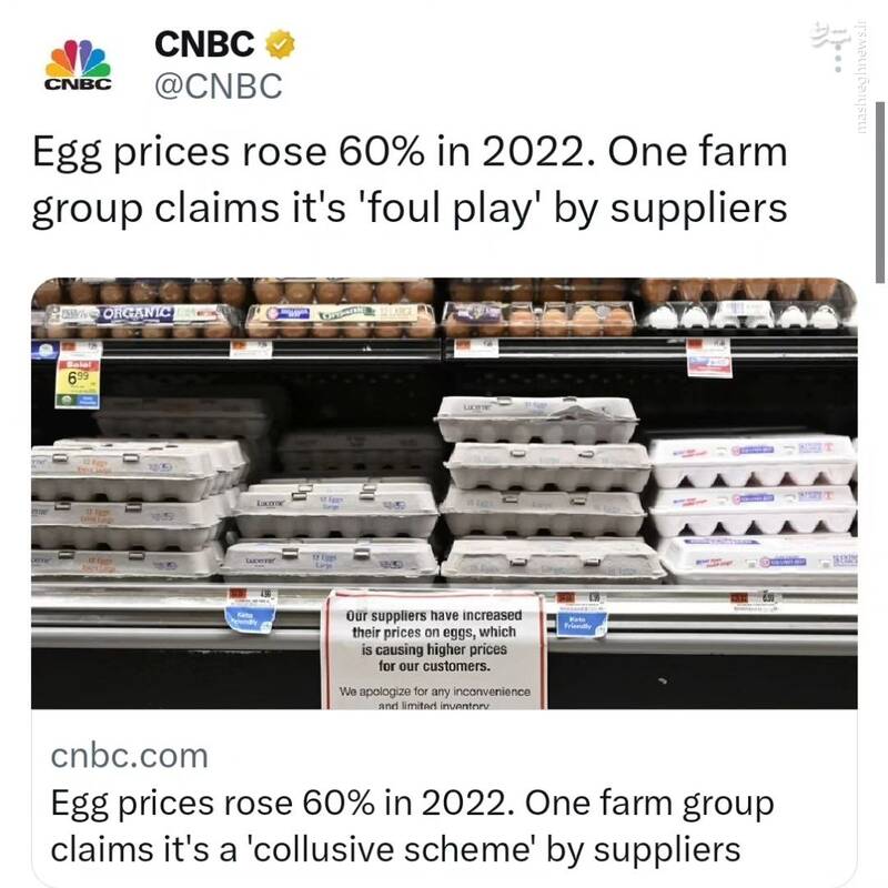 تخممرغ، آنفلوآنزا و بازار آزاد