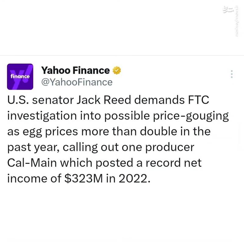 تخممرغ، آنفلوآنزا و بازار آزاد