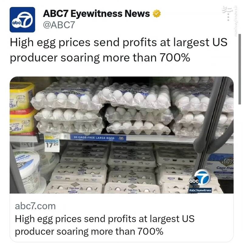 تخممرغ، آنفلوآنزا و بازار آزاد