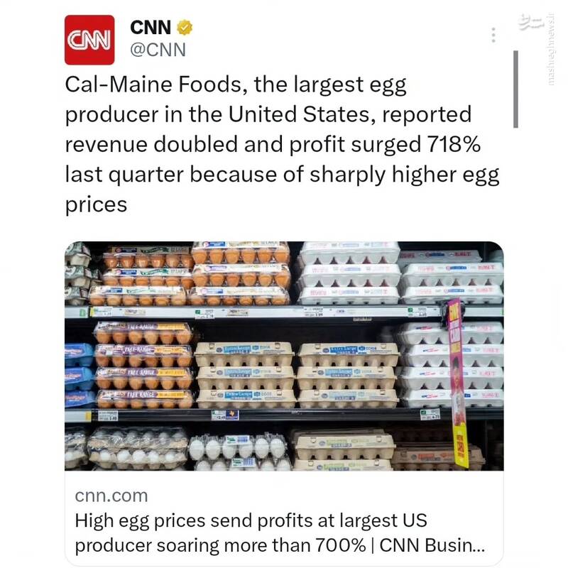 تخممرغ، آنفلوآنزا و بازار آزاد