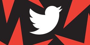 باگ جدید توئیتر پیام‌های حذف شده را باز می‌گرداند