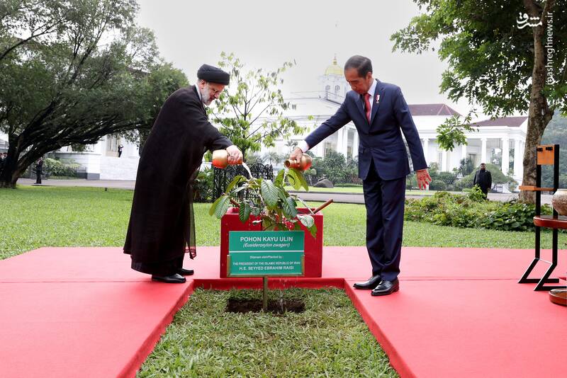 در سفر رئیسجمهور به اندونزی چه گذشت؟
