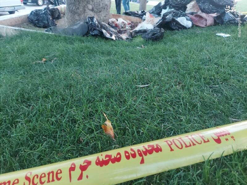 جسد تکه تکه شده یک زن در میدان آزادی +عکس