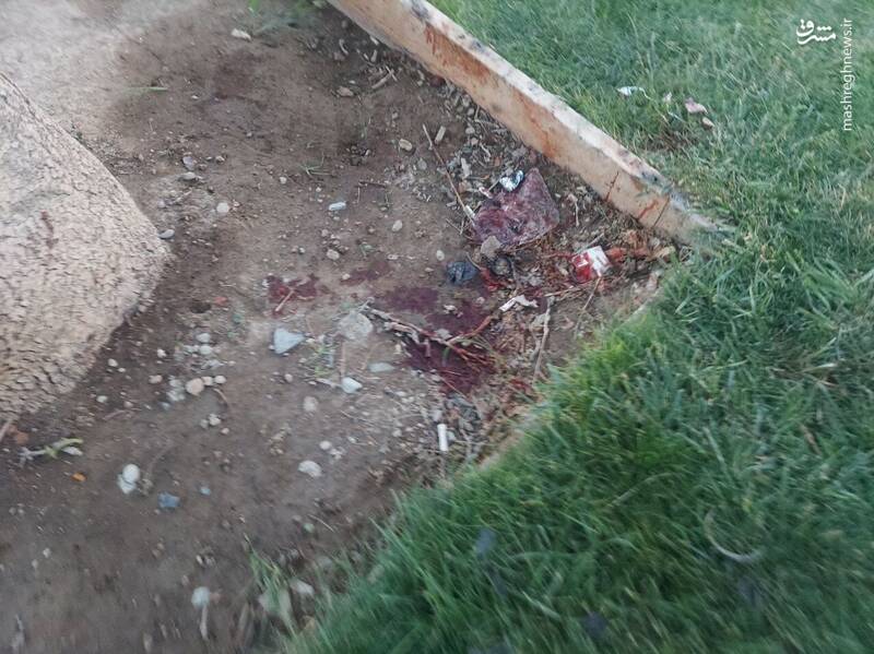 جسد تکه تکه شده یک زن در میدان آزادی +عکس