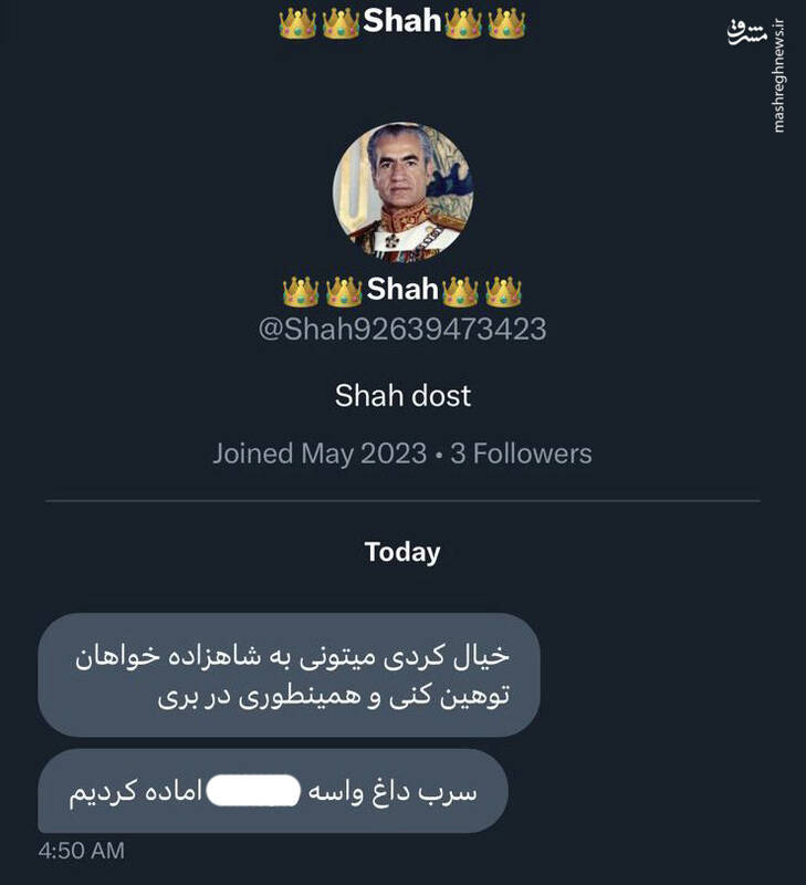 طرفداران پهلوی به مجری زن شبکه اینترنشنال هم رحم نکردند!