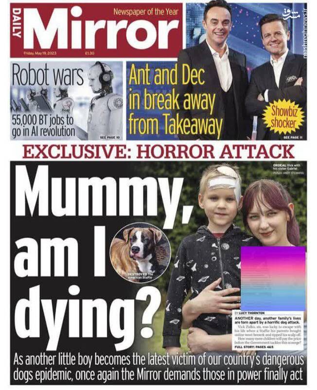 پسربچه ۶ ساله قربانی سگ بازی در انگلیس!