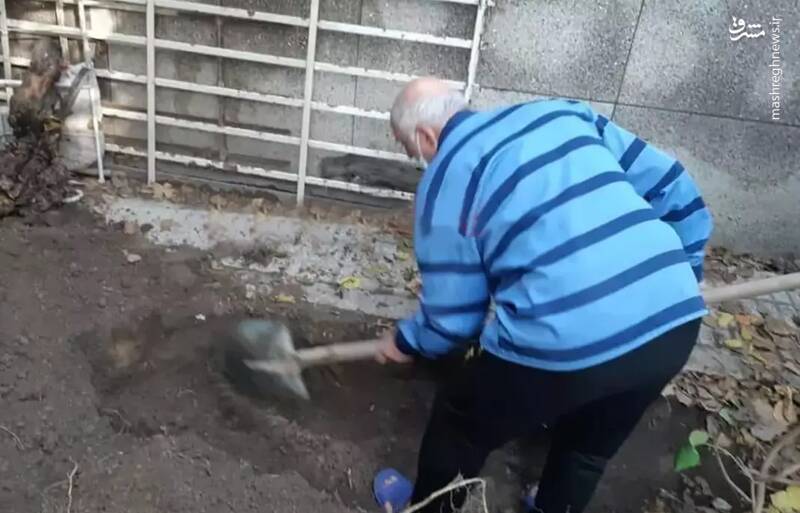 بهلول و سکانس تلخ شیما +عکس