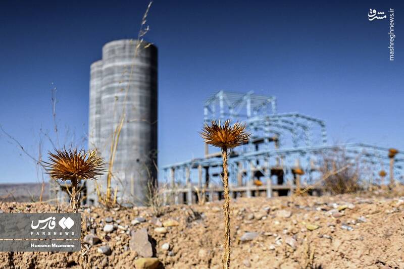 عکس/ قرار بود اینجا کارخانه باشد!