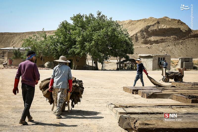 مشرق نیوز - عکس/ کار در کوره های آجر پزی