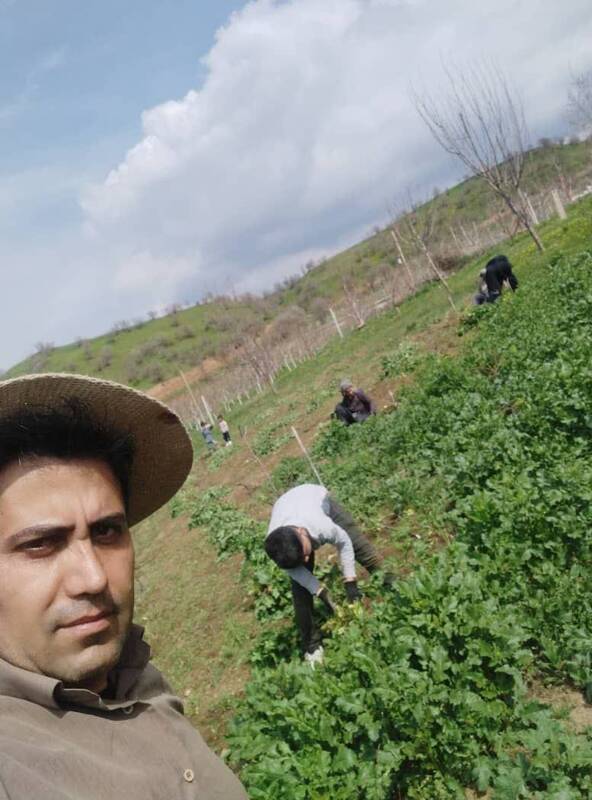 این جنایت آلمان با عذرخواهی پاک نمیشود+عکس